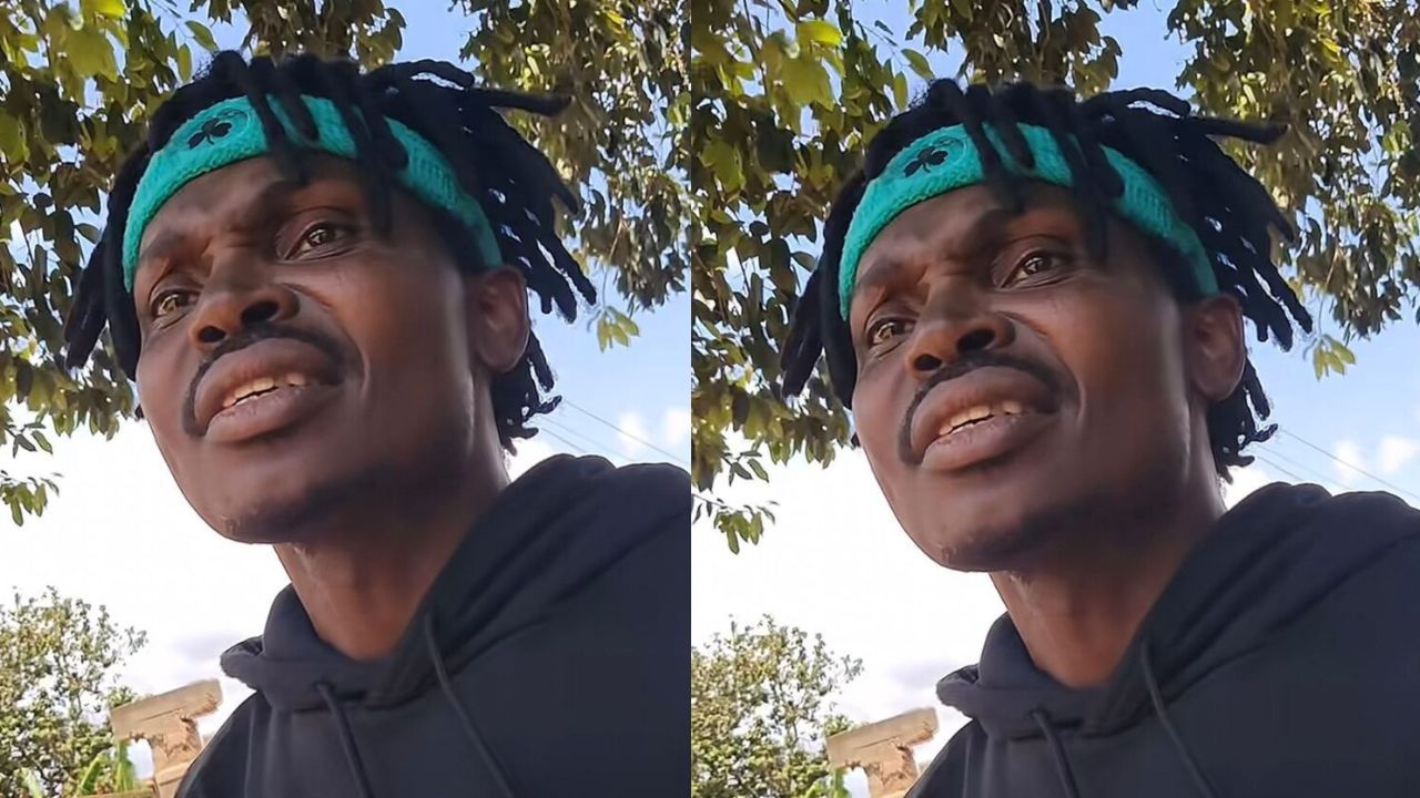 Master Parrot Sparks Concern Over Alcohol Addiction